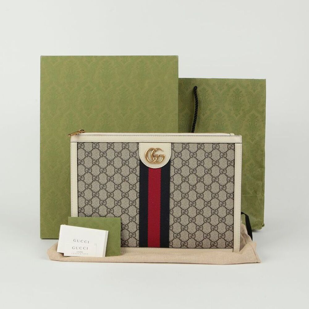 Ophidia Portfolio Case